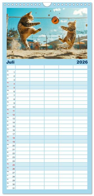 Produktbild: Familienplaner 2026 - Lustige Sportarten f&uuml;r Katzen mit 5 Spalten (Wandkalender, 21 x 45 cm) CALVENDO