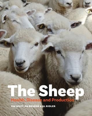 Produktbild: The Sheep