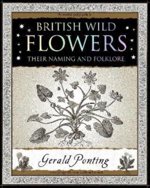 Produktbild: British Wild Flowers