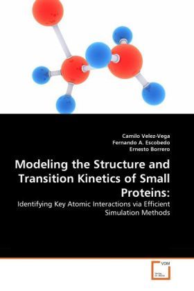 Produktbild: Velez-Vega, C: Modeling the Structure and Transition Kinetic