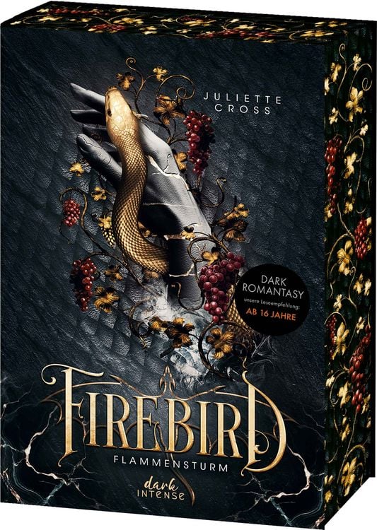 Produktbild: Flammensturm (Band 1) - Firebird