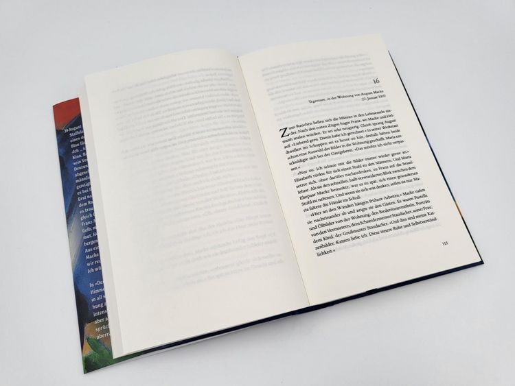 Produktbild: Der Maler und das reine Blau des Himmels