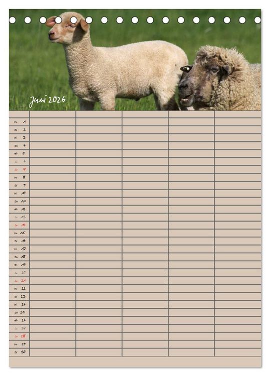 Produktbild: Der bel&auml;mmerte Familienplaner (Tischkalender 2026 DIN A5 hoch), CALVENDO Monatskalender