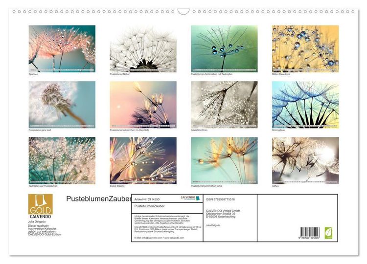 Produktbild: PusteblumenZauber (Wandkalender 2027 DIN A2 quer), CALVENDO Monatskalender