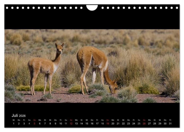 Produktbild: Peru & Bolivien - Land der Inka (Wandkalender 2026 DIN A4 quer), CALVENDO Monatskalender
