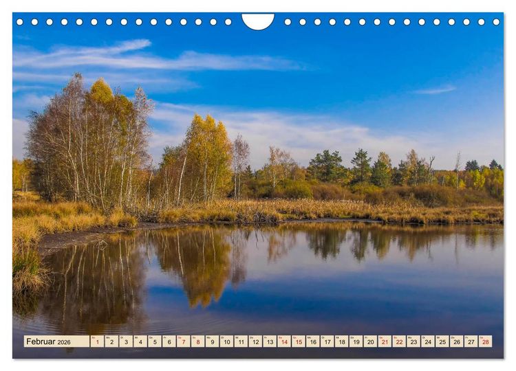 Produktbild: Herbst im Schwenninger Moos (Wandkalender 2026 DIN A4 quer), CALVENDO Monatskalender