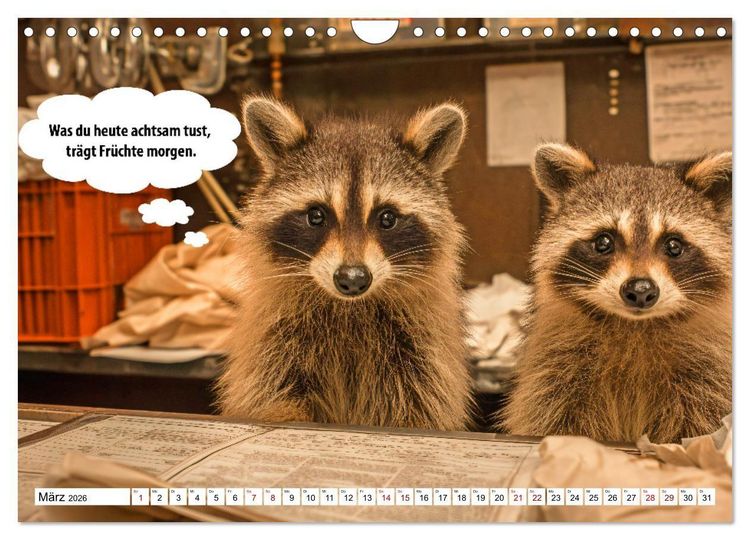 Produktbild: Stille Pfoten, weise Worte - Tiere zeigen dir den Weg zu mehr Gelassenheit (Wandkalender 2026 DIN A4 quer), CALVENDO Monatskalender