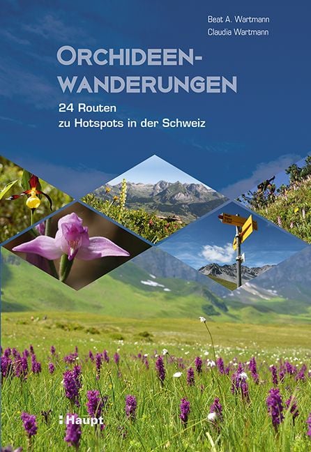 Produktbild: Orchideenwanderungen