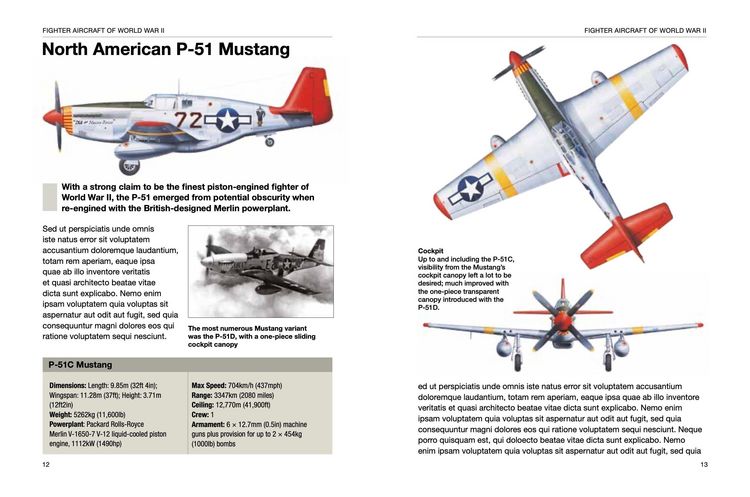 Produktbild: Fighter Aircraft of World War II