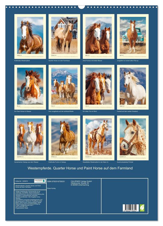 Produktbild: Westernpferde. Quarter Horse und Paint Horse auf dem Farmland (Wandkalender 2027 DIN A2 hoch), CALVENDO Monatskalender