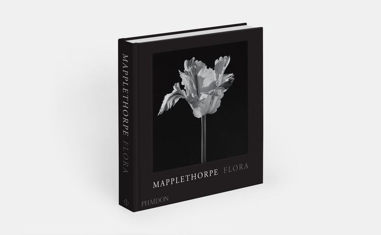 Produktbild: Mapplethorpe Flora: The Complete Flowers (2024)