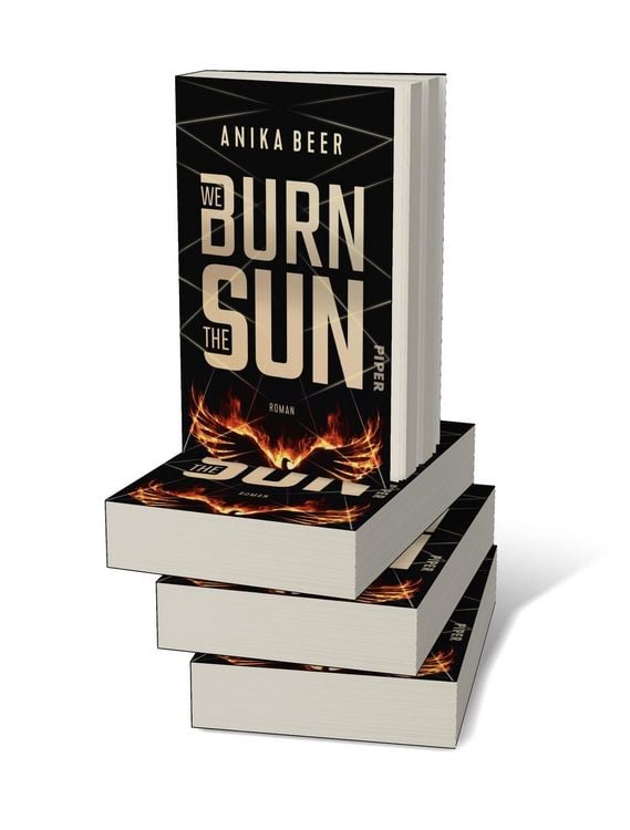 Produktbild: We Burn the Sun