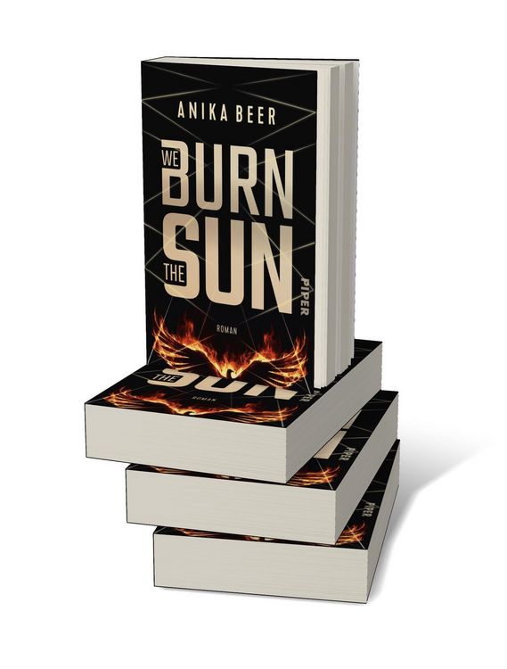 Produktbild: We Burn the Sun