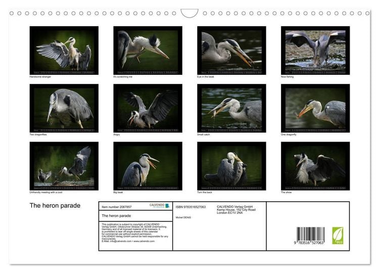 Produktbild: The heron parade (Wall Calendar 2026 DIN A3 landscape), CALVENDO 12 Month Wall Calendar