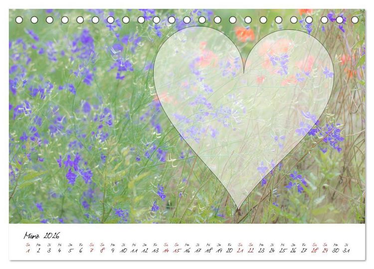 Produktbild: Blauer Bl&uuml;tentraum - Bastelkalender (Tischkalender 2026 DIN A5 quer), CALVENDO Monatskalender