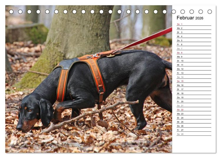 Produktbild: Der Brandlbracken-Terminplaner (Tischkalender 2026 DIN A5 quer), CALVENDO Monatskalender