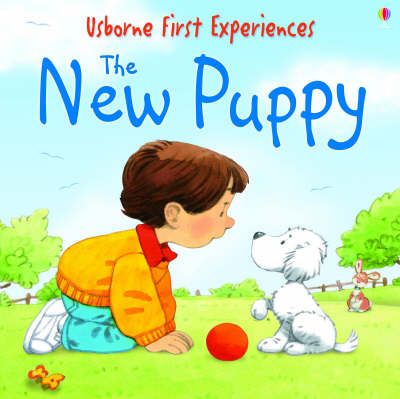Produktbild: Usborne First Experiences The New Puppy