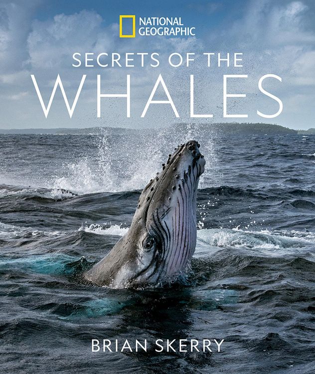 Produktbild: Secrets of the Whales