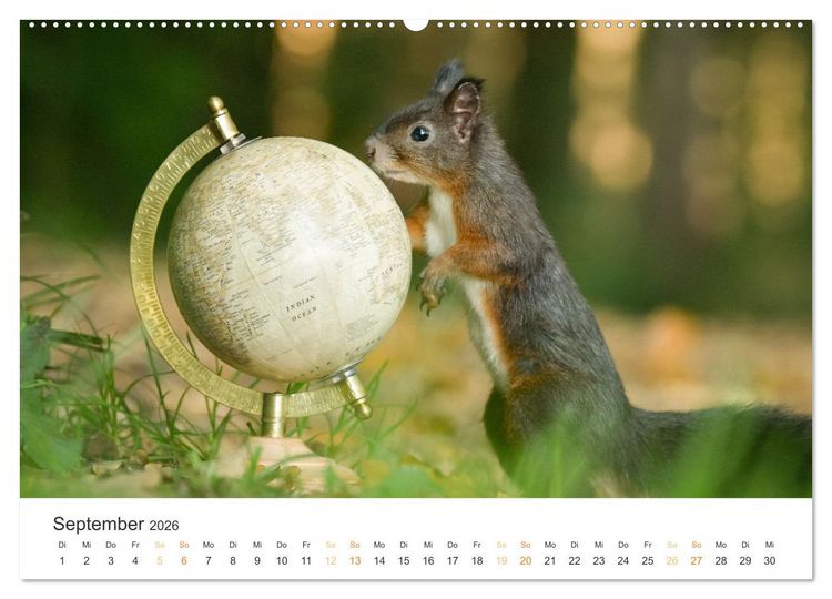 Produktbild: Geheimes Waldleben (Wandkalender 2026 DIN A2 quer), CALVENDO Monatskalender