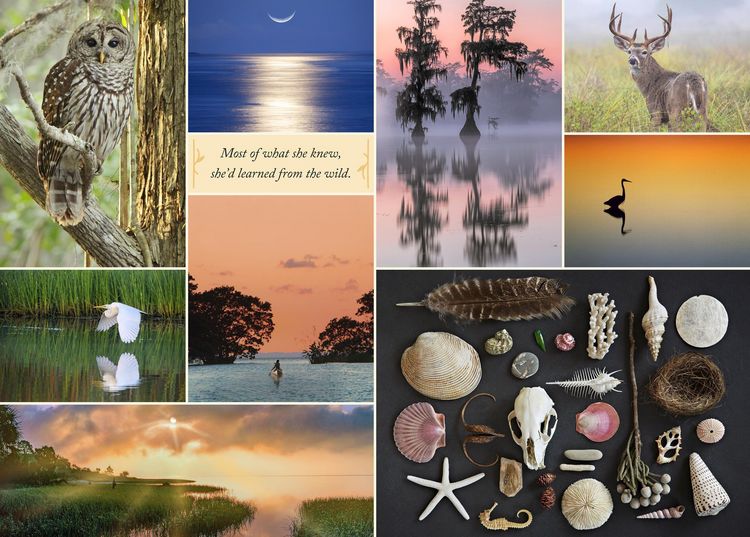 Produktbild: Where the Crawdads Sing 1000-Piece Puzzle