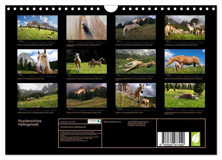 Produktbild: Wundersch&ouml;ne Haflingerwelt (Wandkalender 2027 DIN A4 quer), CALVENDO Monatskalender
