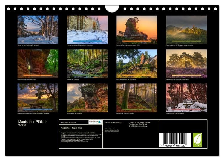 Produktbild: Magischer Pf&auml;lzer Wald (Wandkalender 2026 DIN A4 quer), CALVENDO Monatskalender