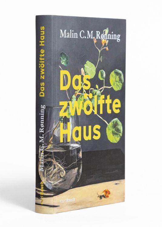 Produktbild: Das zw&ouml;lfte Haus