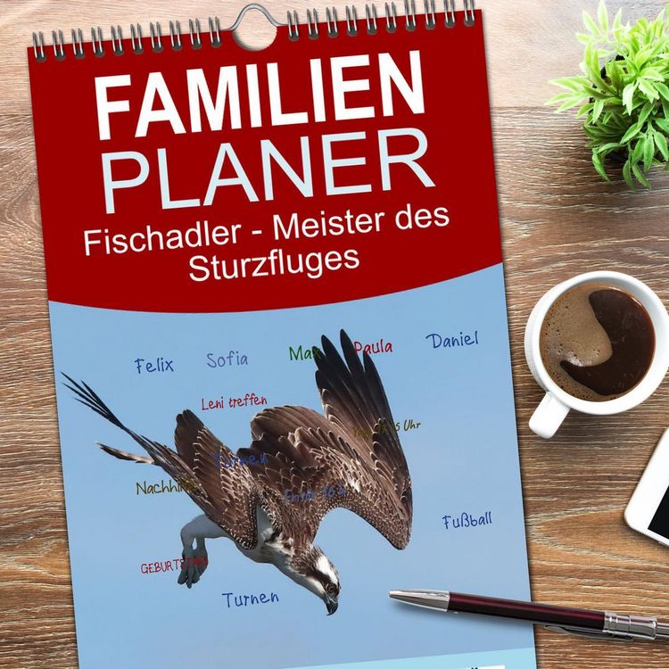 Produktbild: Familienplaner 2026 - Fischadler - Meister des Sturzfluges mit 5 Spalten (Wandkalender, 21 x 45 cm) CALVENDO