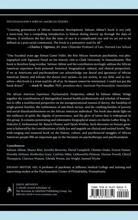 Produktbild: African American Experience