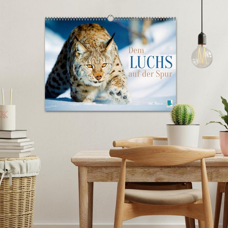 Produktbild: Dem Luchs auf der Spur (Wandkalender 2026 DIN A3 quer), CALVENDO Monatskalender
