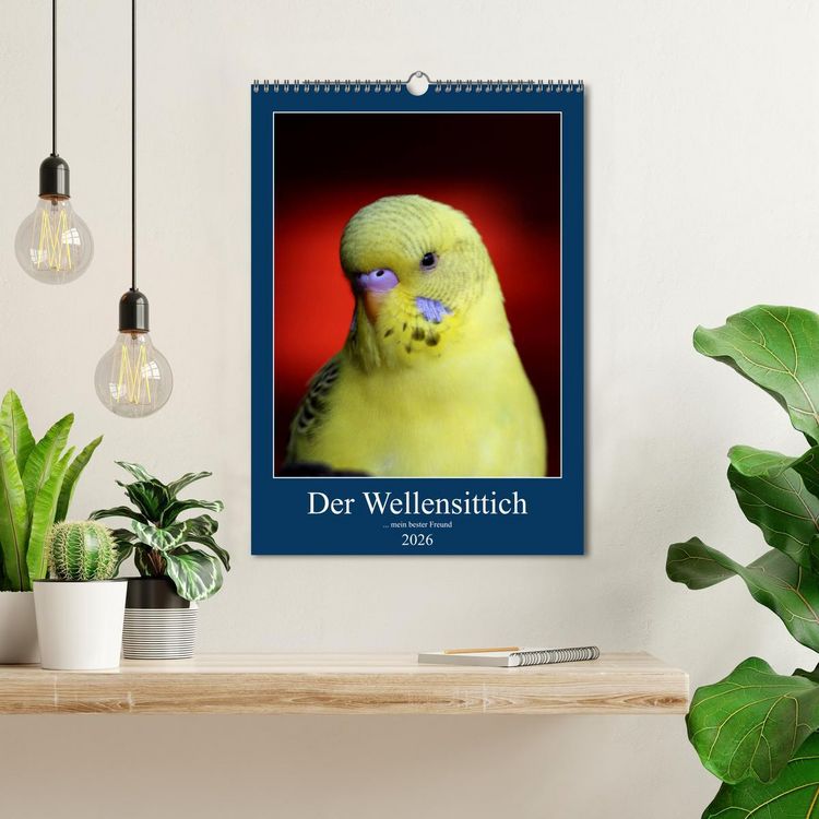 Produktbild: Der Wellensittich - mein bester Freund (Wandkalender 2026 DIN A3 hoch), CALVENDO Monatskalender