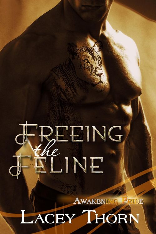 Produktbild: Freeing the Feline (Awakening Pride, #3)