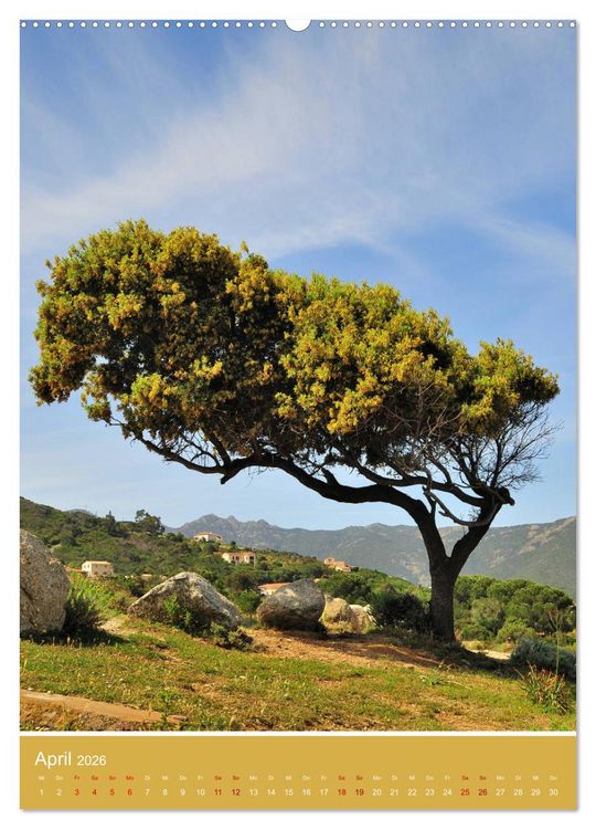 Produktbild: Korsika - Felsen und Meer (Wandkalender 2026 DIN A2 hoch), CALVENDO Monatskalender
