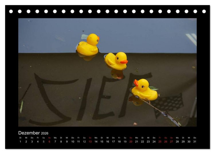 Produktbild: Enten-Rennen (Tischkalender 2026 DIN A5 quer), CALVENDO Monatskalender