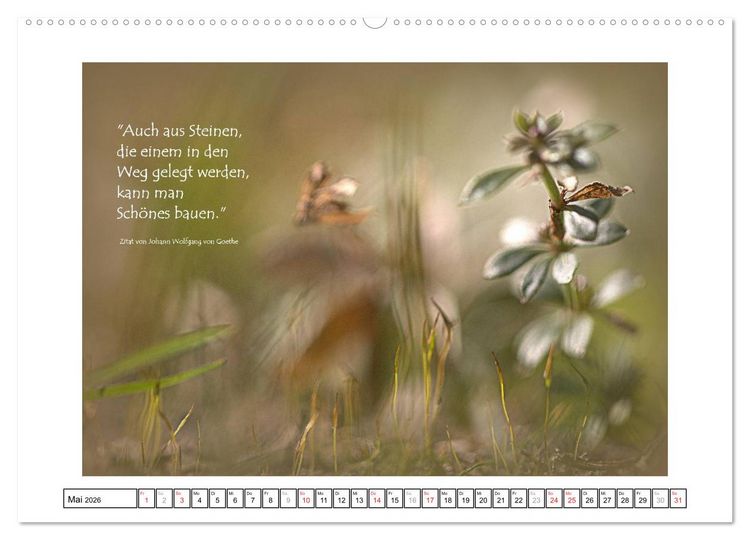 Produktbild: Zitate - Sammlung (hochwertiger Premium Wandkalender 2026 DIN A2 quer), Kunstdruck in Hochglanz