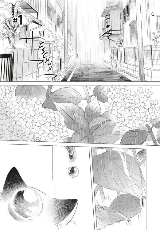 Produktbild: Fairy Cat 1