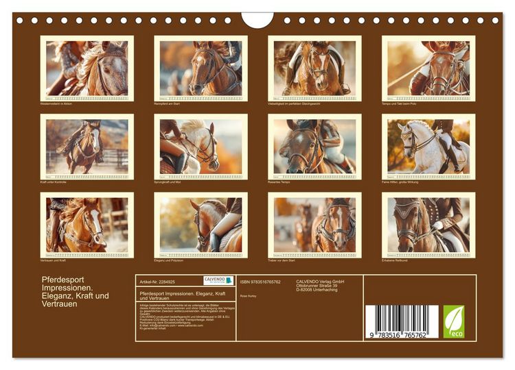 Produktbild: Pferdesport Impressionen. Eleganz, Kraft und Vertrauen (Wandkalender 2027 DIN A4 quer), CALVENDO Monatskalender