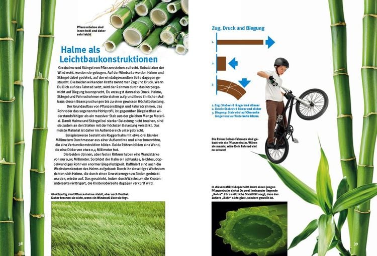 Produktbild: Entdecke die Bionik