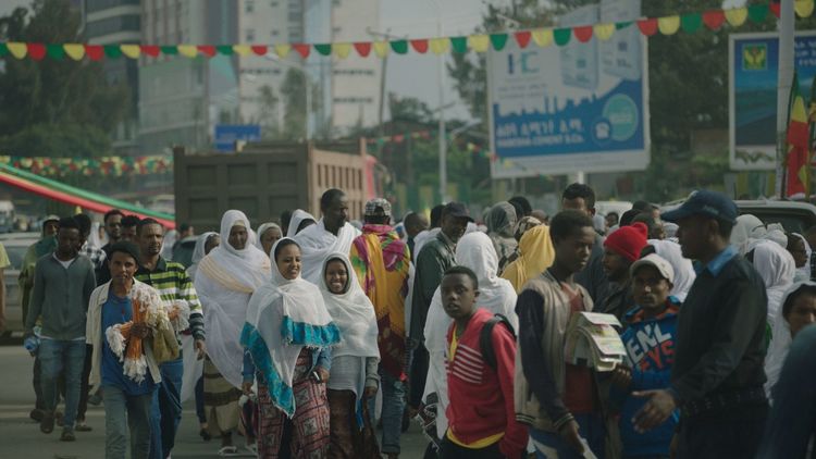 Produktbild: The Great Green Wall