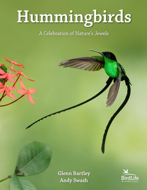 Produktbild: Hummingbirds