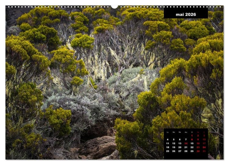 Produktbild: Paysages de l'&icirc;le de La R&eacute;union (Calendrier mural 2026 DIN A2 vertical) calendrier de bureau