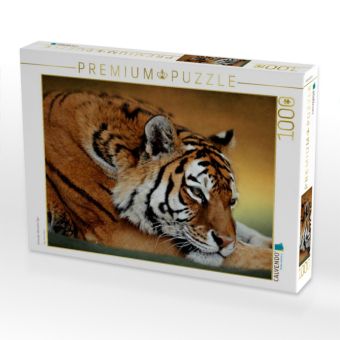 Produktbild: CALVENDO Puzzle Ruhender Sibirischer Tiger | 1000 Teile Lege-Gr&ouml;&szlig;e 64x48cm Foto-Puzzle f&uuml;r gl&uuml;ckliche Stunden
