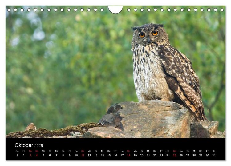Produktbild: Uhu - K&ouml;nig der Nacht (Wandkalender 2026 DIN A4 quer), CALVENDO Monatskalender