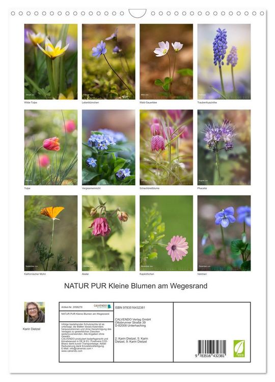 Produktbild: NATUR PUR Kleine Blumen am Wegesrand (Wandkalender 2026 DIN A3 hoch), CALVENDO Monatskalender