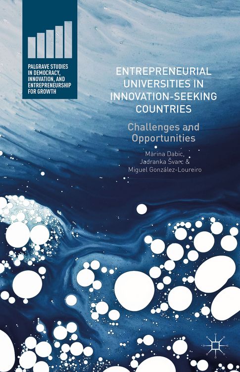 Produktbild: Entrepreneurial Universities in Innovation-Seeking Countries