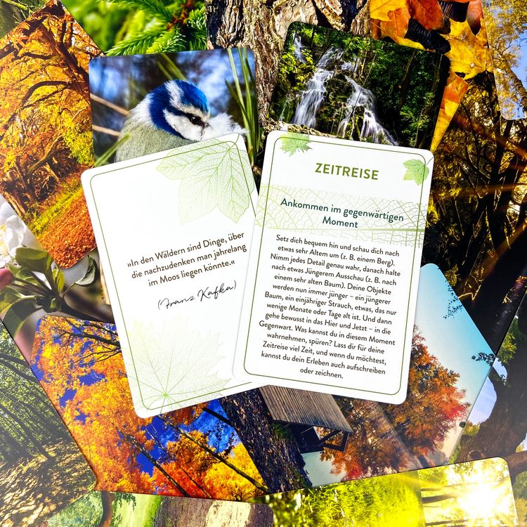 Produktbild: Waldbaden to go