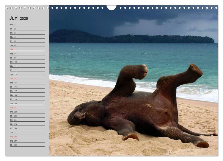 Produktbild: Elefanten. Spa&szlig; am Wasser (Wandkalender 2026 DIN A3 quer), CALVENDO Monatskalender