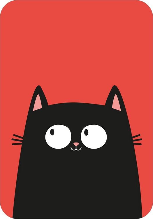 Produktbild: Schwarzer Kater