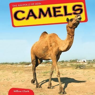Produktbild: Camels