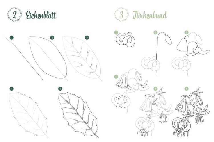 Produktbild: 300 Motive zeichnen &ndash; Botanik